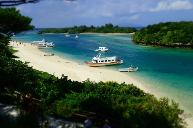 泳ぎたいけど、ここは泳いじゃいけないんだよね。<br />