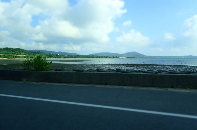 さて、移動かな？