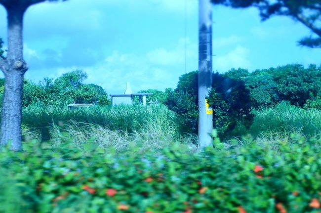 のどかな風景だよね。