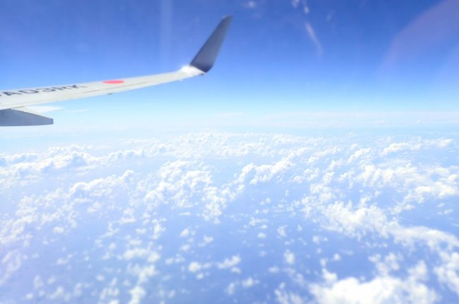 とうとう帰ります。