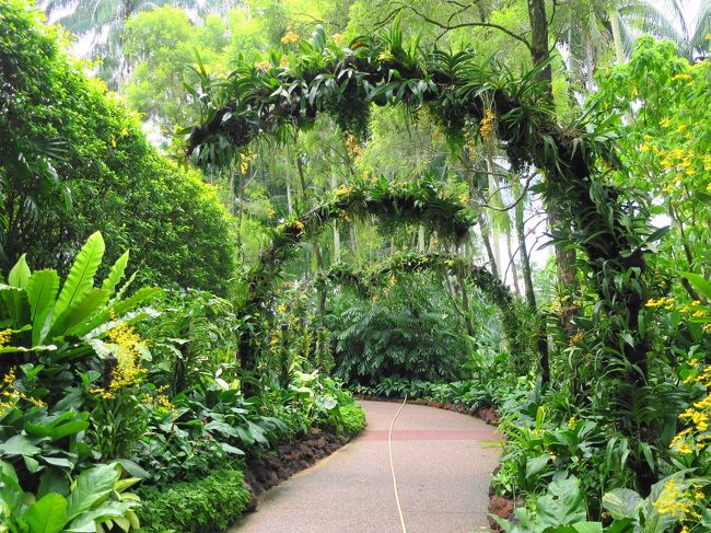 シンガポール植物園