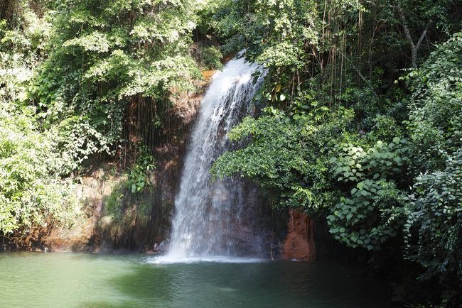 マイナスイオンに包まれ涼しいが、虫も多かった～<br /><br />でも涼しい～～。<br /><br />水しぶきと虫の声、それだけでリラックスできる。