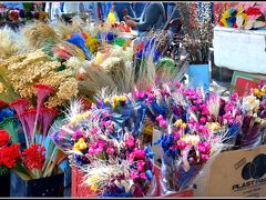 【サンパウロの芸術村：エンブー】

これは造花....ですね.....