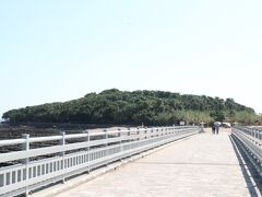 橋の向こうに見える、緑のこんもりした中に青島神社があるみたいです。