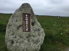 「オムサロ原生花園」

休憩を兼ねて散策します。