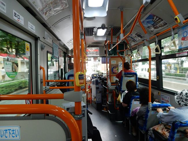 「浅川を渡れば富士の影清く桑の都に青嵐吹く」という西行が歌ったと言われるほどの歴史ある街です。古くから絹織物や養蚕が盛んで「桑の都」及び「桑都（そうと）」と呼ばれていました。そのため八王子から横浜まで「絹のみち」「絹街道」と呼んだそうです。<br /><br />しかし、駅前を見る限りでは単なる地方の大都市、と言う感じで、歴史的な雰囲気は全くありません。駅前の地図を見ると、寺町と言う地名が目に入りました。たったこれだけで、なんかありそうな気がしてバスに乗り込みました。