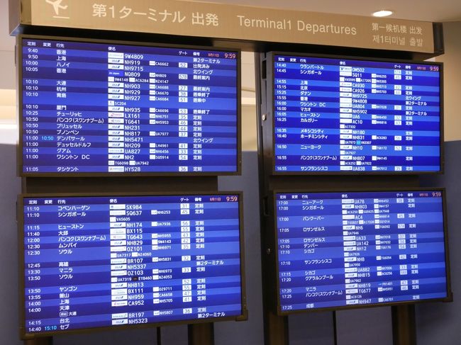 行きの乗り換えはブリュッセル。遅れなしっ。<br />うーん、空港でのテロとか少しだけ心配だけど、自分の運を信じよう。