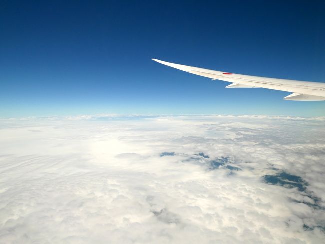 よぉーし、無事に飛び立ったー！<br /><br />今回、旦那と隣席が取れず。前が旦那、後ろに私。<br />まっ、10時間、お互い自由に過ごしましょう。<br />