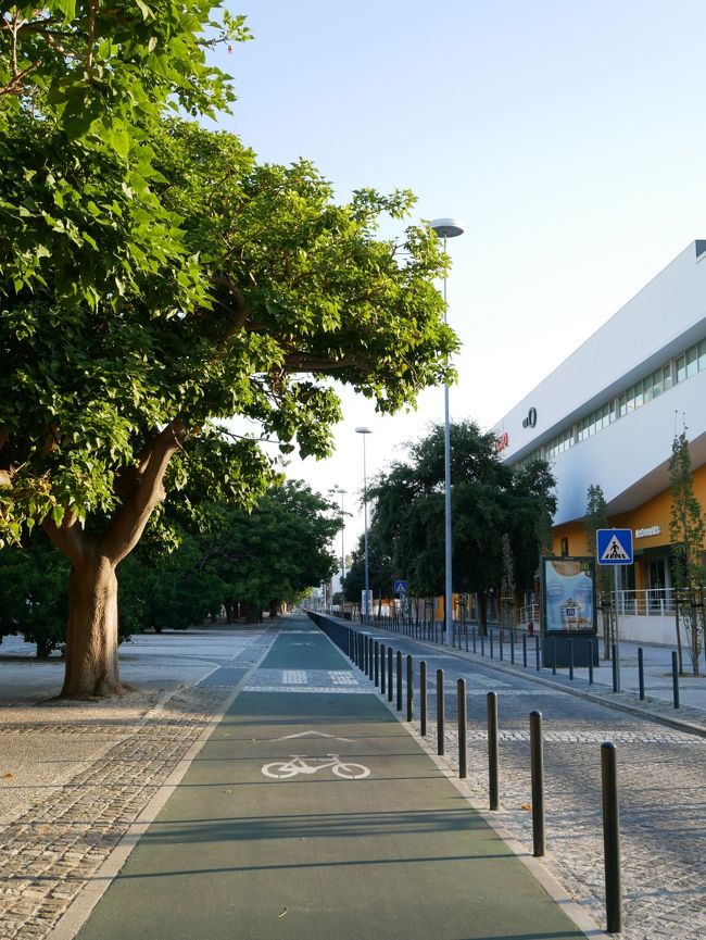 ホテルに戻る途中。自転車専用道路がずーっと延びてた。<br />どこからどこまで続いてるのかな？