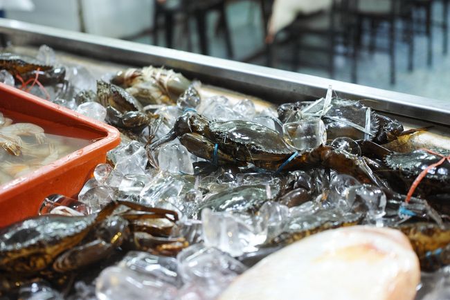 やっぱりこれですよね。<br /><br />マッドクラブ。<br /><br />ちょっと小さめかな？