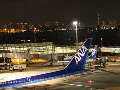 羽田空港に飛行機みにきました。

高跳びするわけではありません。
