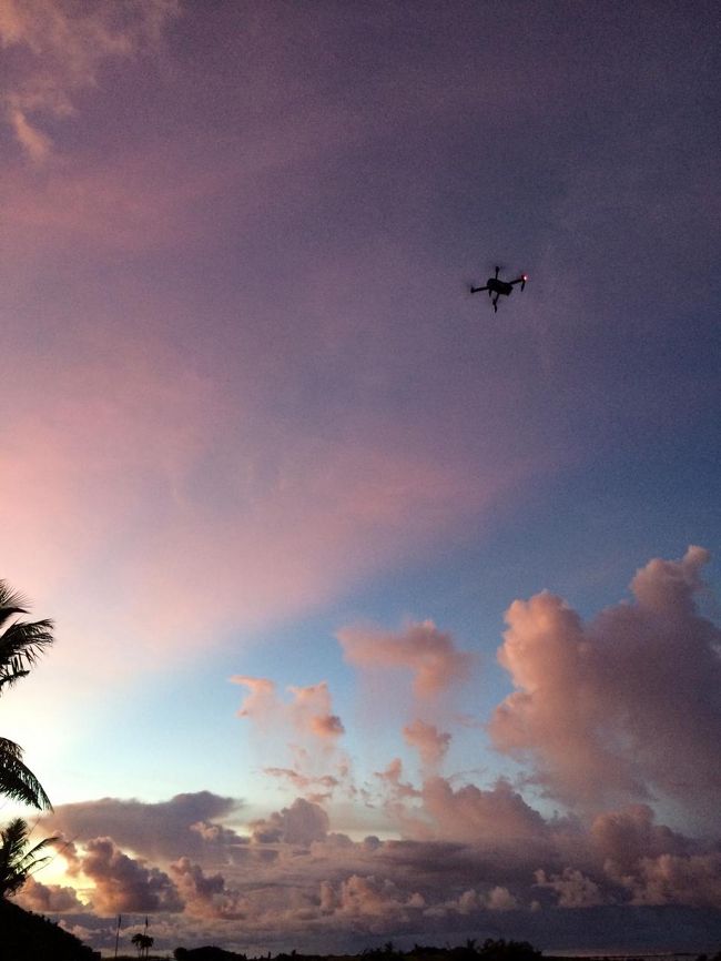 飛行中はこんな感じ。<br />但し、降りて来ません！！<br />病気が出ました。<br />