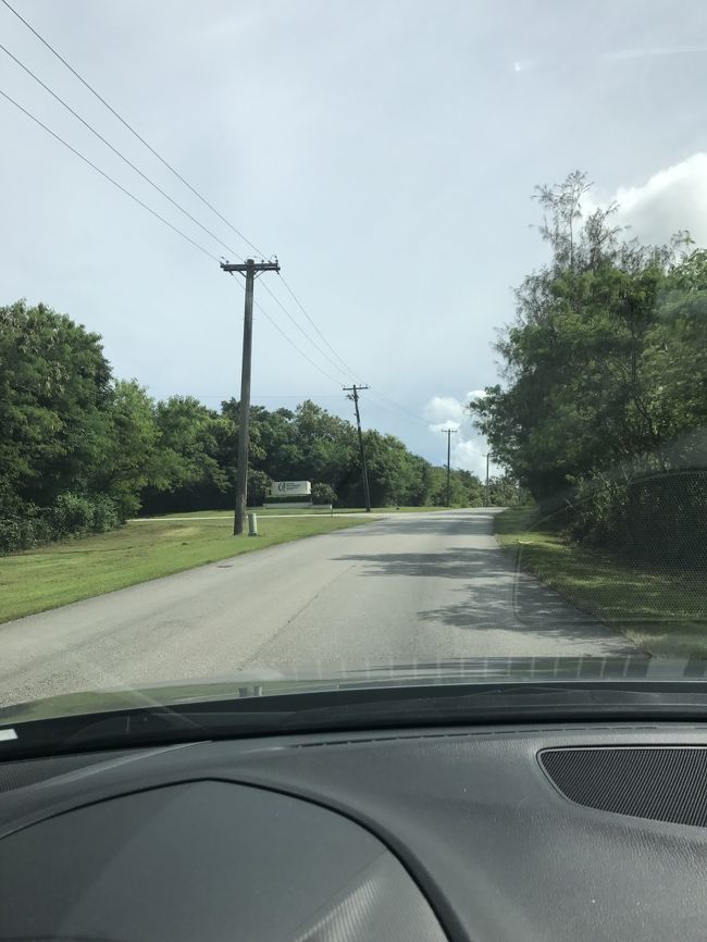 公園の入り口付近だけ整備されている。