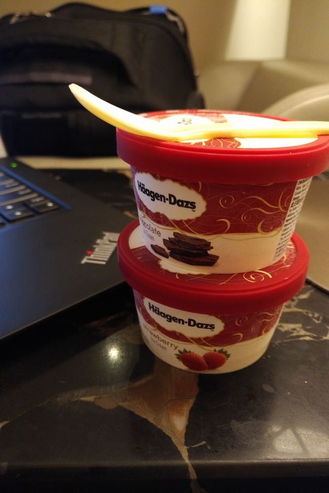 とりあえずアイスなど。バニラがありませんでした。