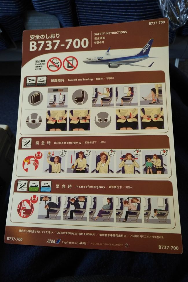 うーん、737なんですが、国際線な感じがしません。