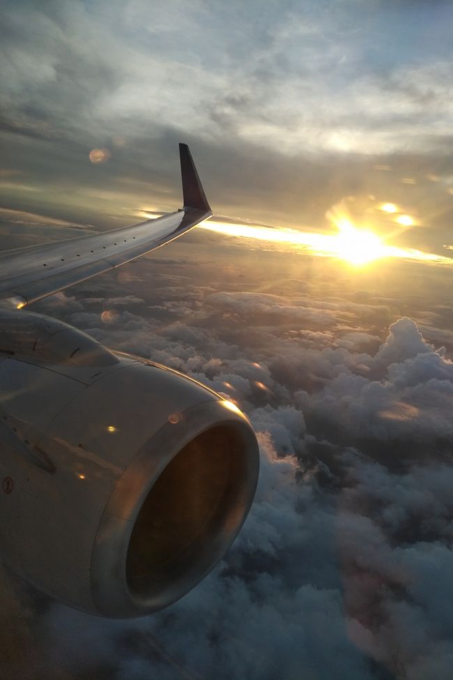 着陸30分前で紀伊半島南通過中。夕日が綺麗に見えました。ただ、下は結構な豪雨だったようです。定刻より少し遅れてセントレア着。荷物はすぐ出てきたものの、税関申告で外人軍団がめちゃくちゃ並んでおり、だいぶ時間を使ってしまいました。