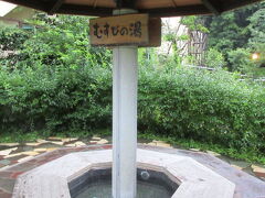 川治ふれあい公園の「むすびの湯」