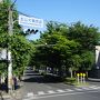 久しぶりの京都であれこれお手軽グルメと街歩き（三日目）～さまよえる桓武天皇の軌跡、長岡京跡周辺の街歩きから、かねてからの課題あじさいの楊谷寺へ。最後は先斗町の茶香房長竹でディープな夜のひと時を過ごします～