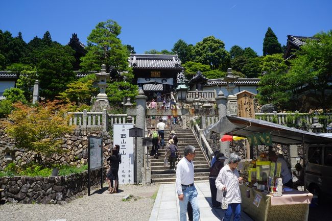 久しぶりの京都であれこれお手軽グルメと街歩き 三日目 さまよえる桓武天皇の軌跡 長岡京 跡周辺の街歩きから かねてからの課題あじさいの楊谷寺へ 最後は先斗町の茶香房長竹でディープな夜のひと時を過ごします 長岡京 向日 京都 の旅行記 ブログ By たびたび 久しぶりの京都であれこれお手軽グルメと街歩き 三日目 さまよえる桓武天皇の軌跡 長岡京 跡周辺の街歩きから かねてからの課題あじさいの楊谷寺へ 最後は先斗町の茶香房長竹でディープな夜のひと時を過ごします 長岡京 向日 京都 の旅行記 ブログ By たびたび