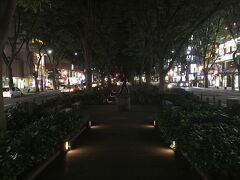 仙台の市内の戻ってきました。美しい並木の通りですが、夜なので真っ暗