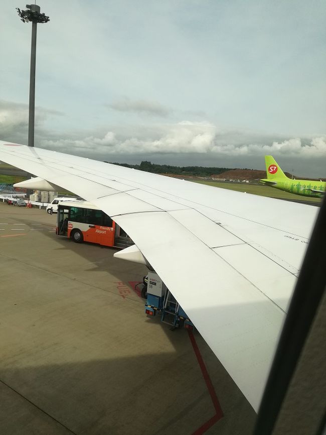 成田空港　定刻の着陸です。<br />しばらくぶりの親子3人旅が終了です。<br />お付き合いくださいました４トラメンバー様、フェイスブックお友達さま<br />ありがとうございました。<(_ _)><br />