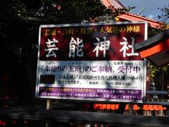 最近は芸能神社がすっかり有名に