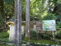 そこから少し山を下ると竹林寺がありました。