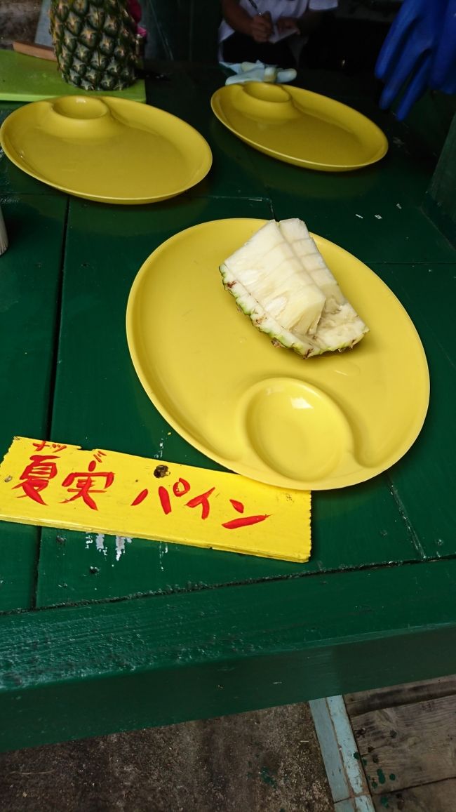  朝早かったので一番乗りだったのかな？<br />覗いたら、試食に切りましょうね～とフレッシュなパインを頂きました<br />あ、甘い～)^o^(<br />翌日帰宅なので購入しました♪<br />大きさで￥３００　￥４００　￥５００　だったかな？<br />とてもキレイなパインばかりでお土産にぴったりです<br />配送も整っていました<br />姉家族にあげたら、甘くて渋みが無くて石垣のパイン凄い！！と喜ばれました(^^)<br /><br />