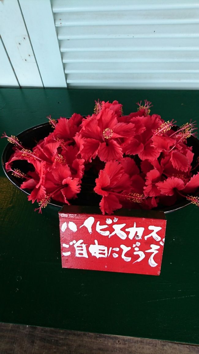 こんな素敵サービスも♪<br />