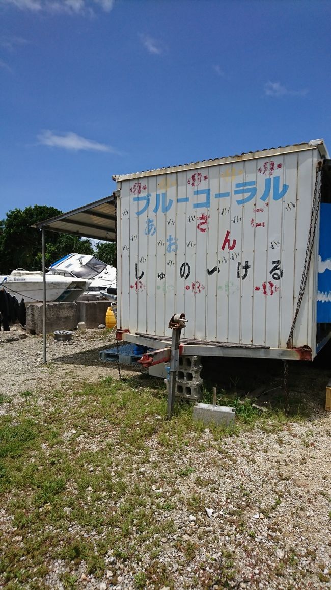 一昨年、中止になってしまい残念だった「白保の青珊瑚スノーケル」<br />今年は念願叶いました！！<br /><br />明石食堂から真っ直ぐ向かい、これまた時間の余裕たっぷりで着きました～<br />