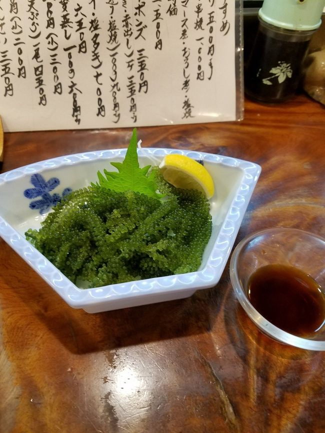 水槽で鮮度を保っていた海ブドウは<br />おどろきのプチプチ！！