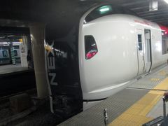 旅の機運があがると聞いて初めて成田エクスプレスに乗車