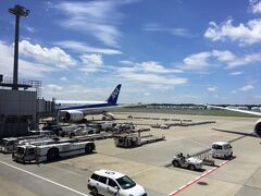 朝5時起床…眠すぎる…
毎度お世話になりますANAです。
そのおかげで一旦東京まで向かわねばならず、それだけが嫌。

でも良いお天気で、気分もUPします♪