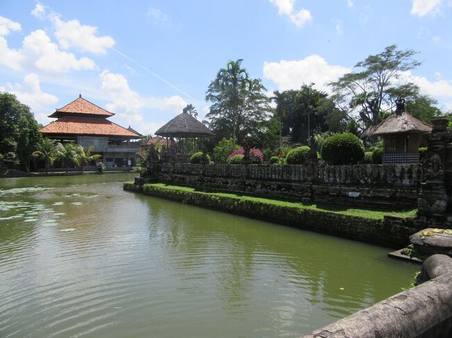 サクッと見れば所要時間３０分くらいかな。