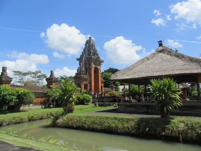 涼しげな庭です。中には入れません。