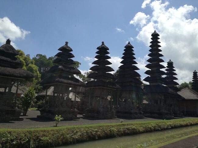 メル　こちらの見どころはここかな