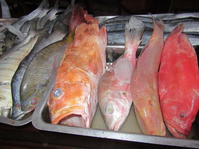 もちろん選んだのはお口を開けている赤い魚です<br />見るからに大きいからね(笑)<br />どれでも１匹焼いてもらって100,000Rp<br />（２人前のセットがつきます）<br /><br />ビールは冷蔵庫から自分で持ってきて、<br />あとで申告します。<br />
