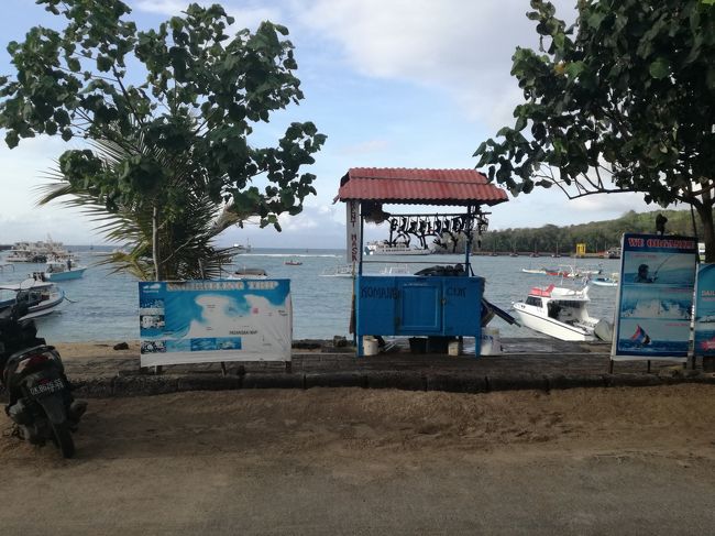 翌日は朝からシュノーケリングへ行きます。<br />９時に浜で待ち合わせです。