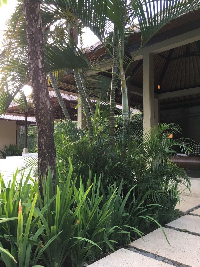 Green Green Green　。:.ﾟヽ(*´∀｀)ﾉﾟ:.｡