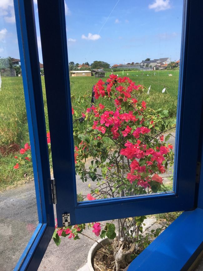 新しくて、お店の中もカワイイ感じで、しかもすごく落ち着ける雰囲気。<br /><br />ブルーの窓枠からはUmalasの田園風景が。<br />