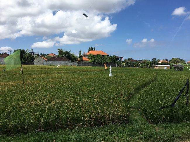 サンタイに泊ってここでランチを食べて…<br /><br />ってすごくいい時間の使い方だなぁって感じました。<br /><br />お料理もどれもハズレなく美味しかったからまた来たくなる。