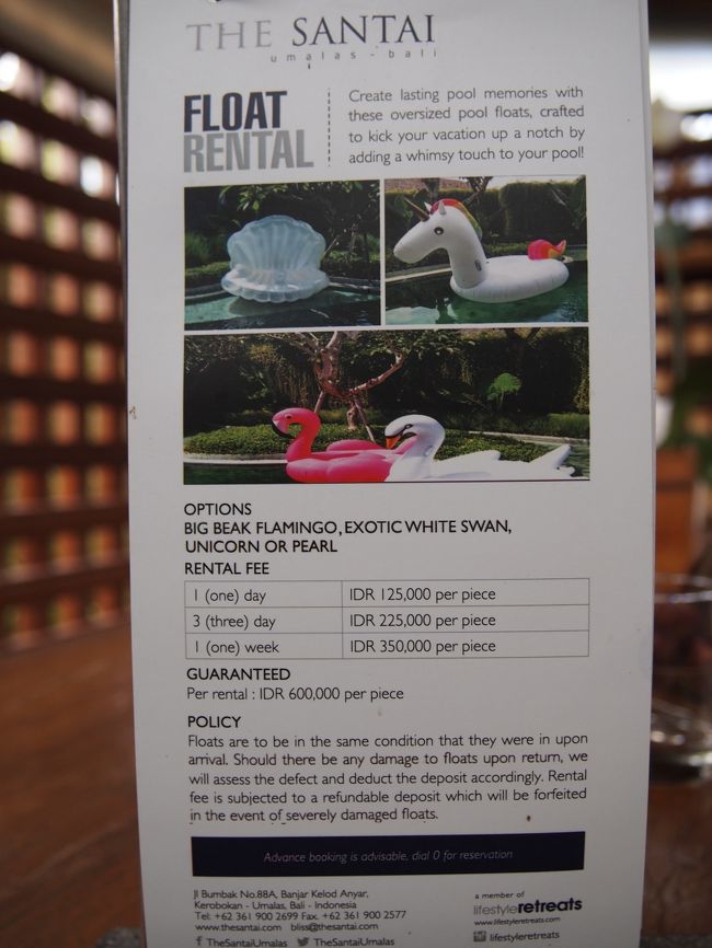 フロートレンタル料<br /><br />イルカさんや普通の浮き輪はタダなんですがね。。。