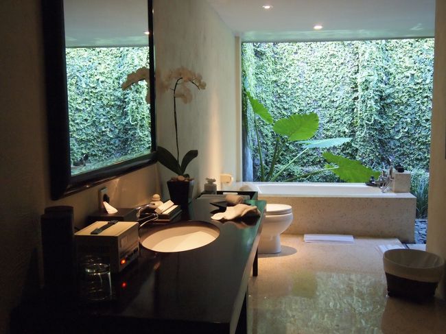 バスルームは半オープンであります