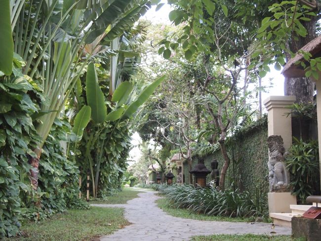 いつきても変わらぬこのグリーンシャワー