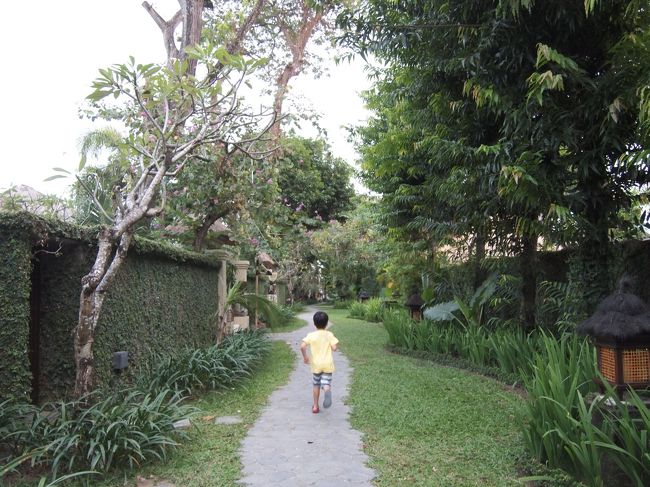 散歩なのに走ります