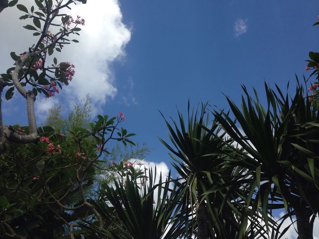 日本の秋のようなカラっとした天気の中<br /><br />行ってみることに。