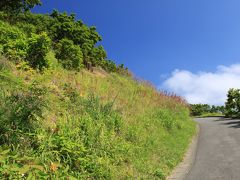 積丹半島の「島武意海岸」に到着します。

山頂の駐車場が少なく、ものすごく渋滞しており、
すぐにUターンして途中の駐車場に止めて
そこから歩道を15分くらい歩いて移動します。
これが結構しんどい・・・
