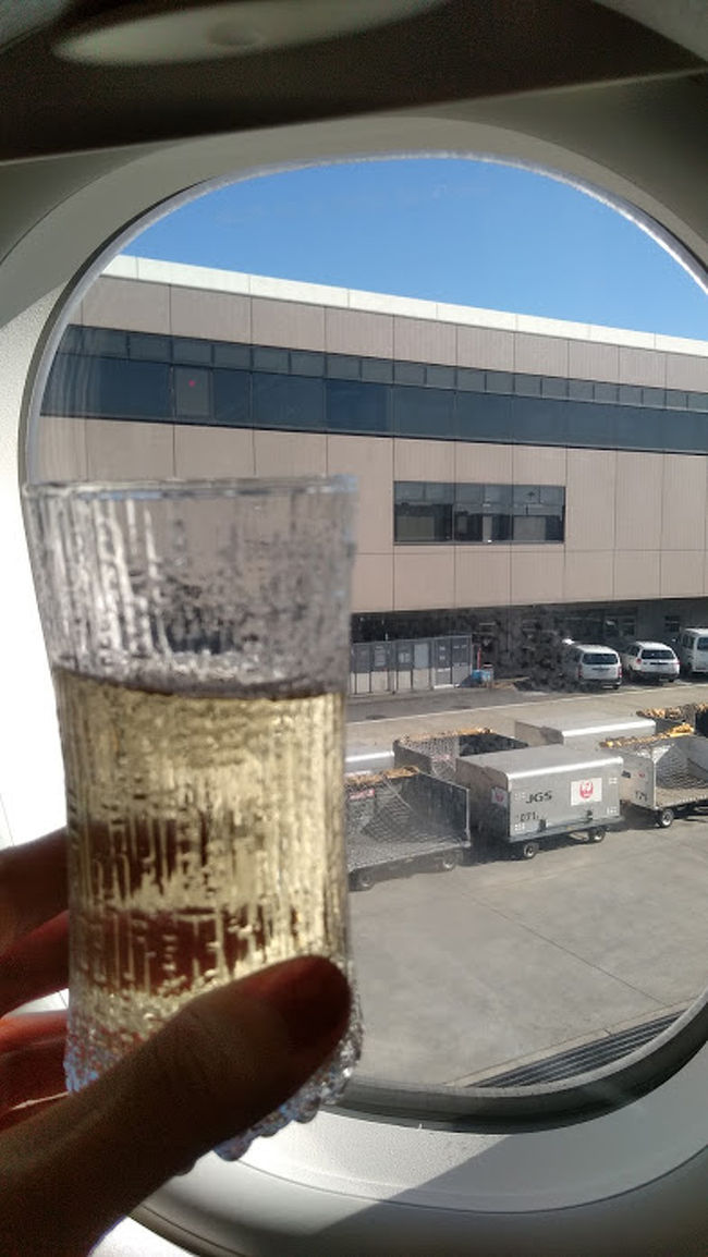 『年末年始 おひとり様、オーロラを見に北欧へ ヘルシンキ編』ヘルシンキ(フィンランド)の旅行記・ブログ by