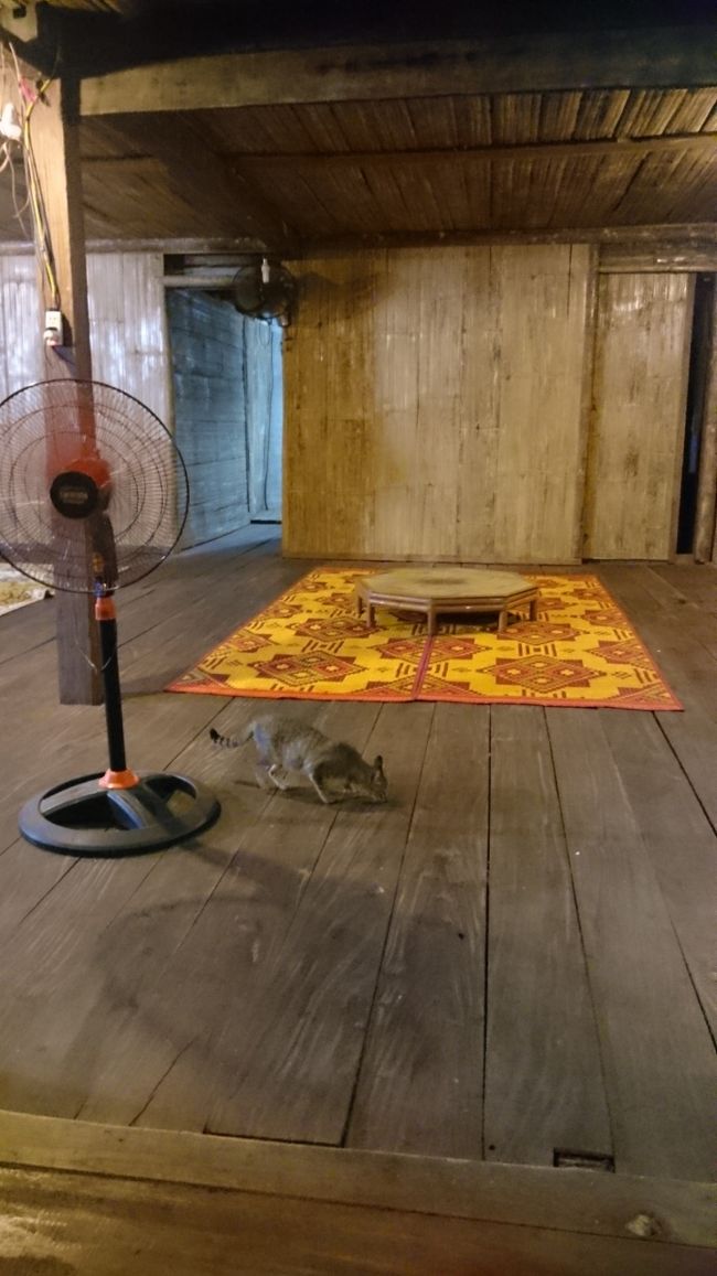 高床式のおうちで、蚊帳が吊るされた部屋と板張りのフローリング？<br />猫が可愛い。