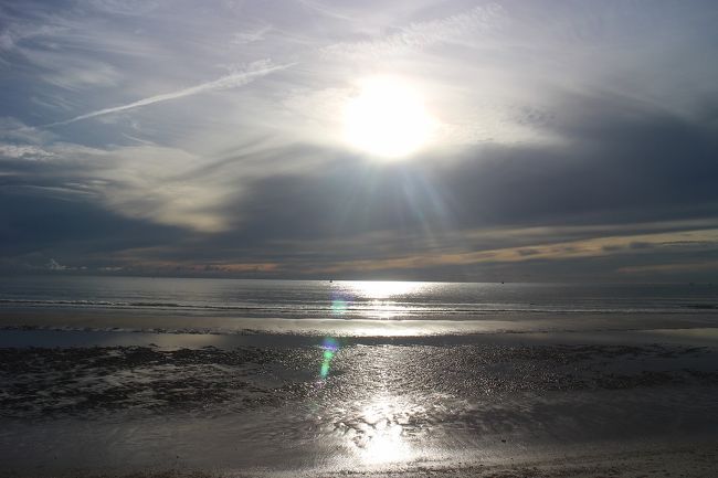 出てきました。<br />日が出ると暑い！